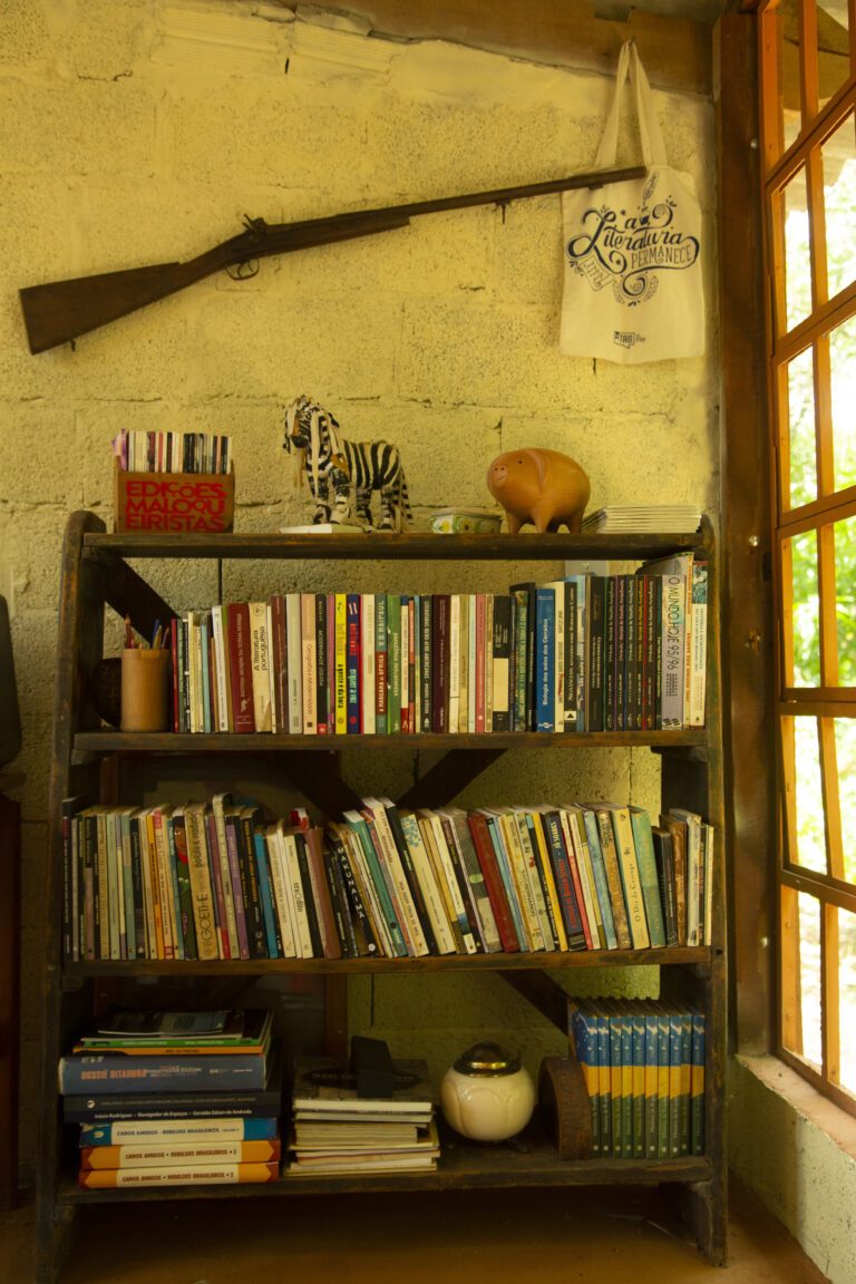 Estante da biblioteca comunitária