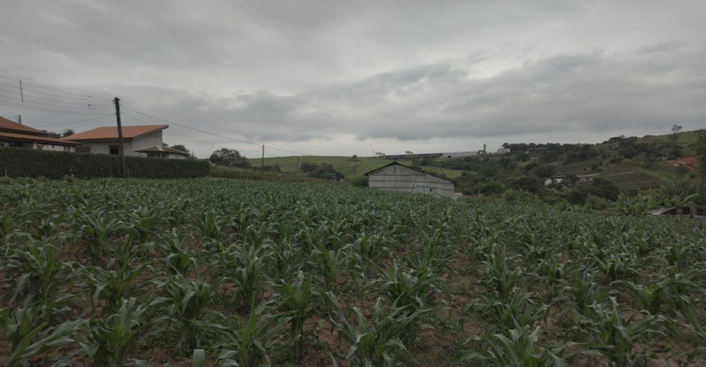 Paisagem do bairro do Laranjal